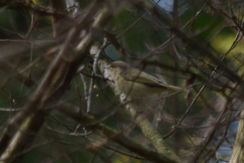 sono tutti lu� piccoli?